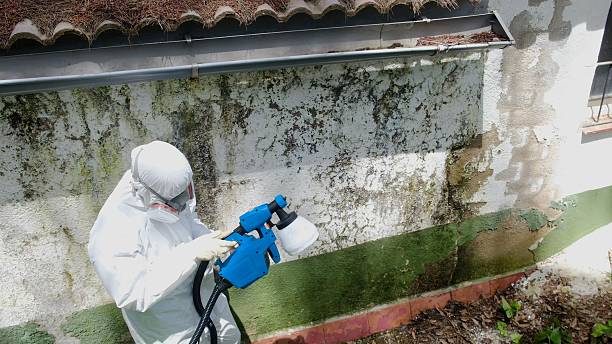 Trusted Mold Testing service in Jamestown, TN - Cheap Mold Removal